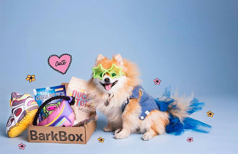 BarkBox Pet Subscription Box For Dogs