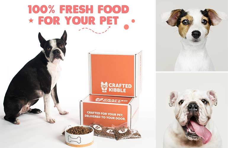 Crafted Kibble Pet Subscription Box For Dogs
