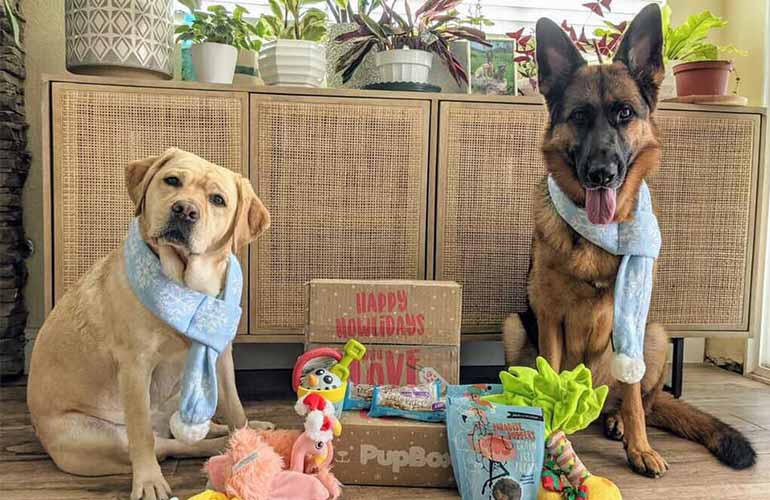 PupBox Pet Subscription Box For Dogs