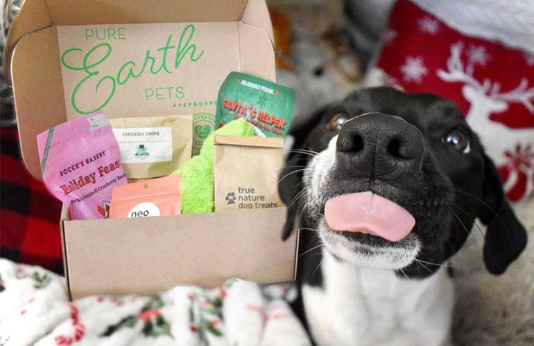 Pure Earth Pets Subscription Box For Dogs