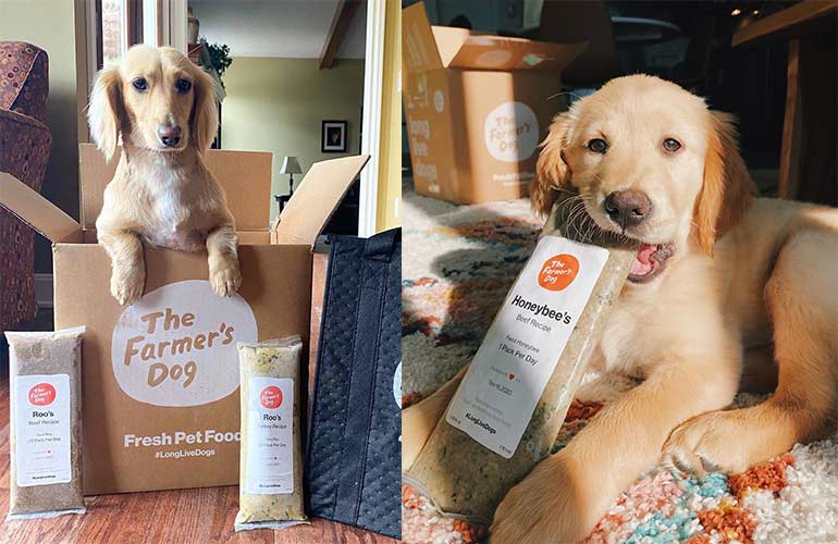 The Farmer’s Pet Subscription Box For Dogs