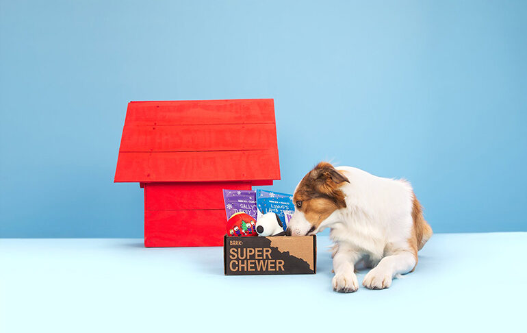Best Pet Subscription Boxes for Dogs & Cats