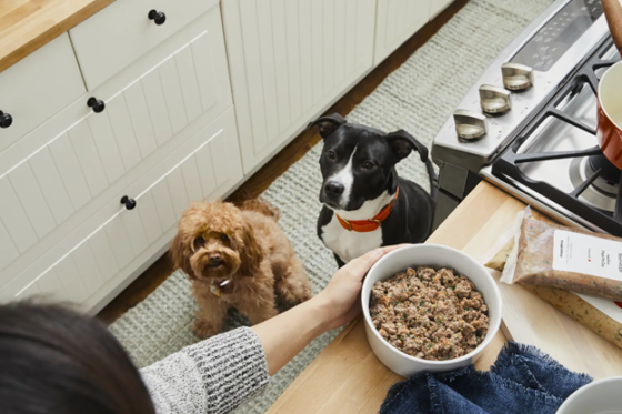 Farmers Dog Subscription Box for Pets