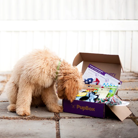 pupbox subscription box for pets