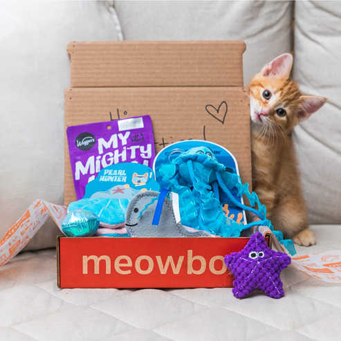Meowbox subscription box for cats