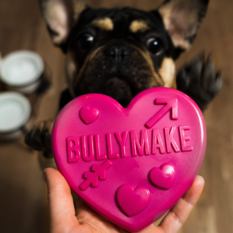 BullyMake subscription box for dogs