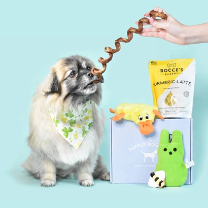 Dapper Dog Box subscription box for dogs