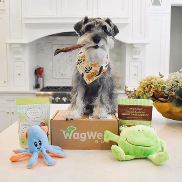 WagWell subscription box for dogs