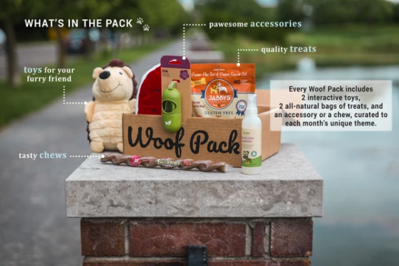 woof pack subscription dog for dogs