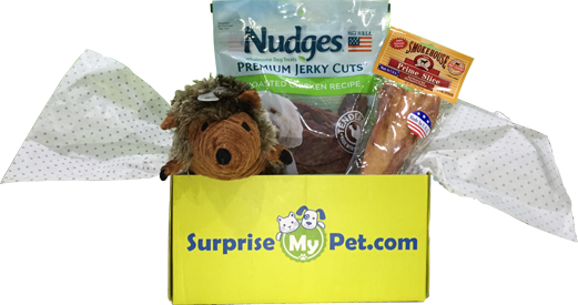 surprisemypet subscription box for pets