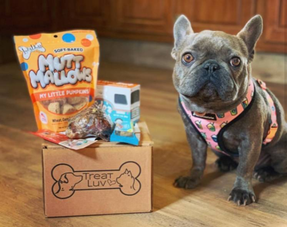 😻 25 Best Pet Subscription Boxes for 2020 (Dogs, Cats, and More ...