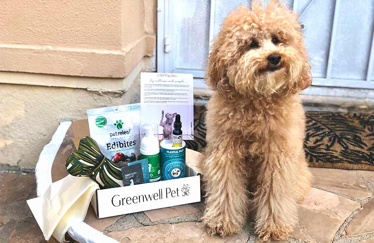 Greenwell Pet Greenwell Pet Subscription Box For Dogs
