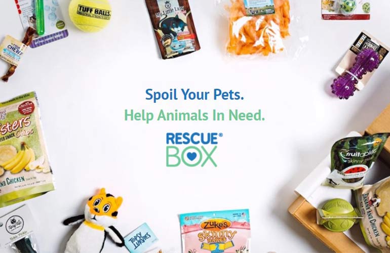 RescueBox Pet Subscription Box For Dogs