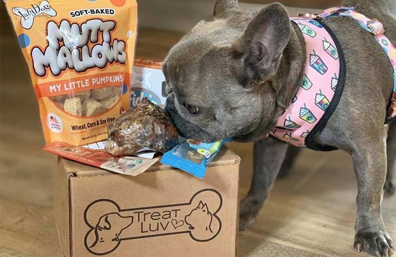 Treat Luv Subscription Box For Pets