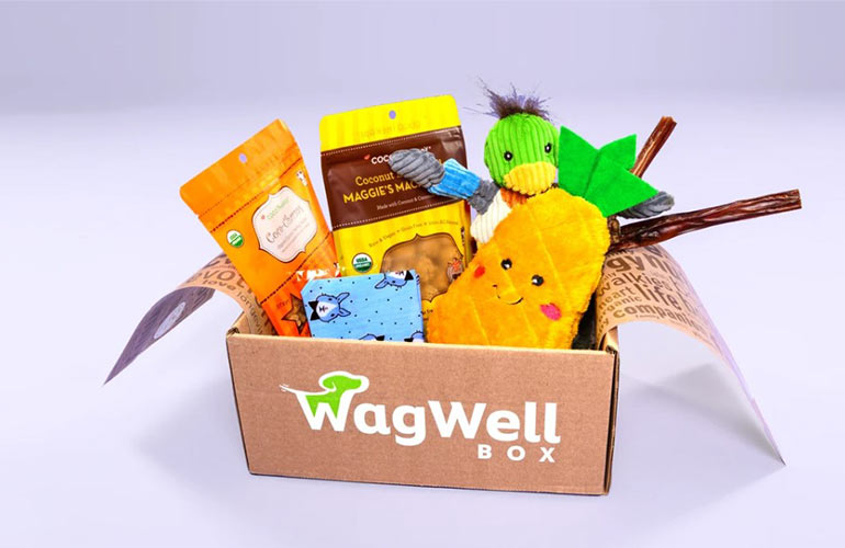 WagWell Box Pet Subscription Box For Dogs